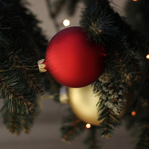 Photo #5411843