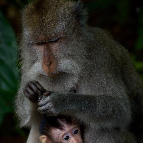 Motherhood