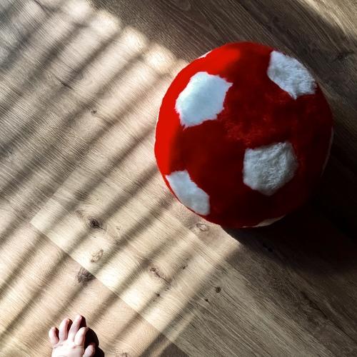 Photo #5412513