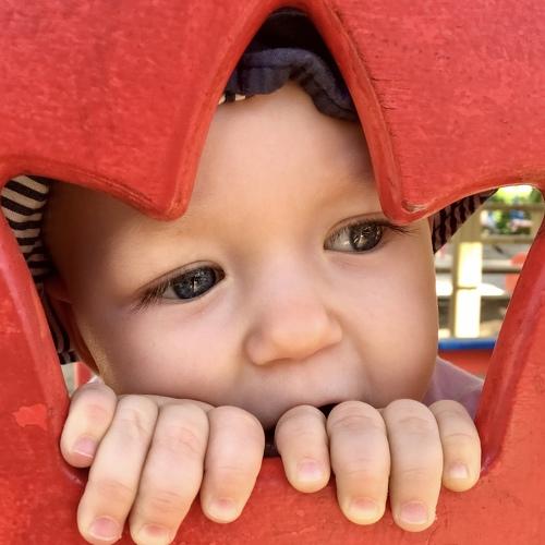 Photo #5412535