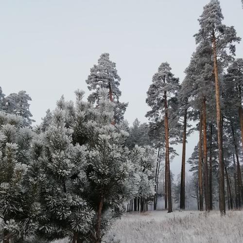 Photo #5412539