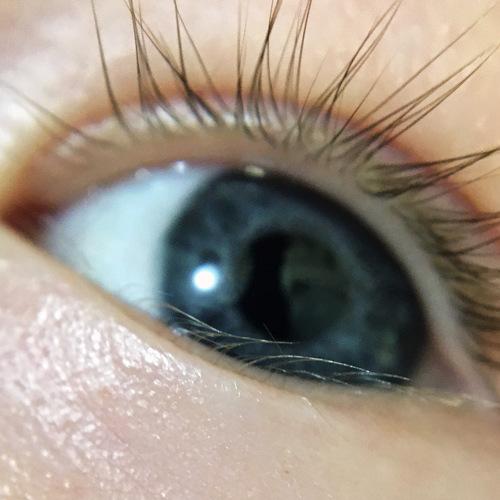 Photo #5412542