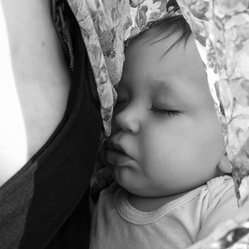 Photo #5412568