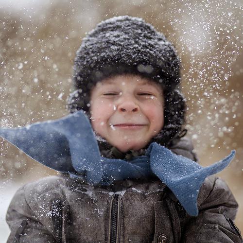 Photo #5412620