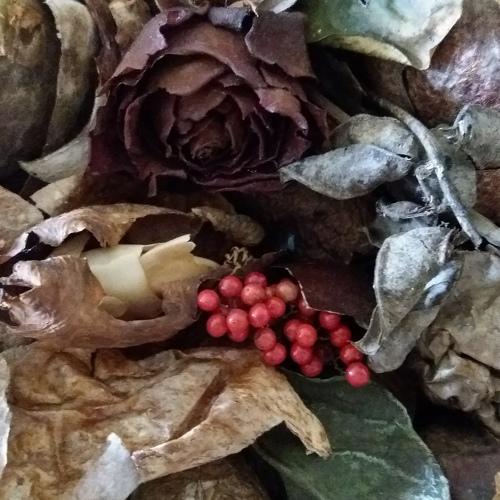 Photo #5412692