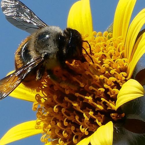 Photo #5413119