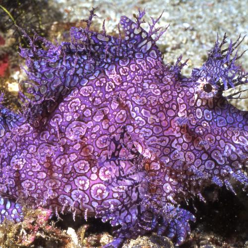 Photo #5413462
