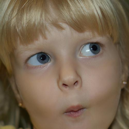 Photo #5414100