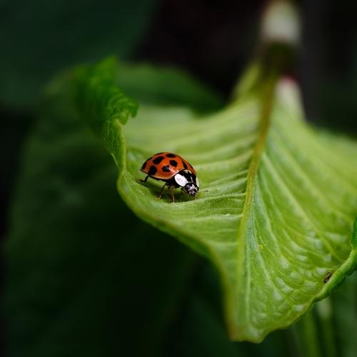 Photo #5414317