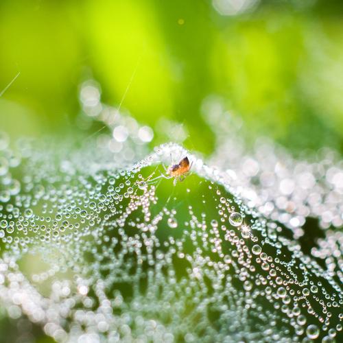 Photo #5414422