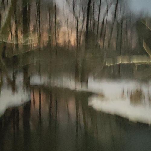 Photo #5414475