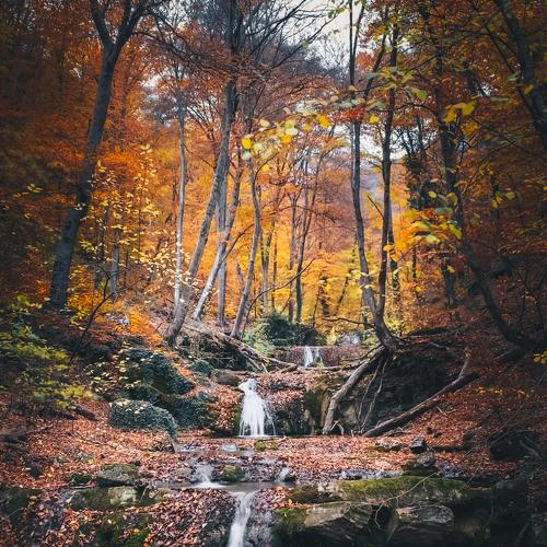 Photo #5415061