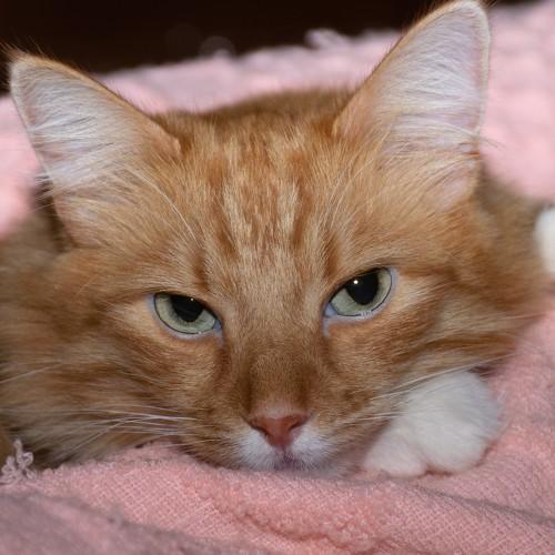 Photo #5415576