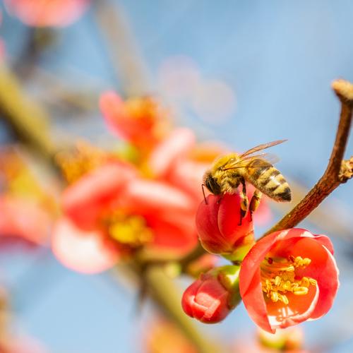 Photo #5415624
