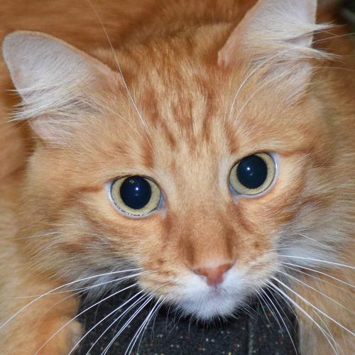 Photo #5415676