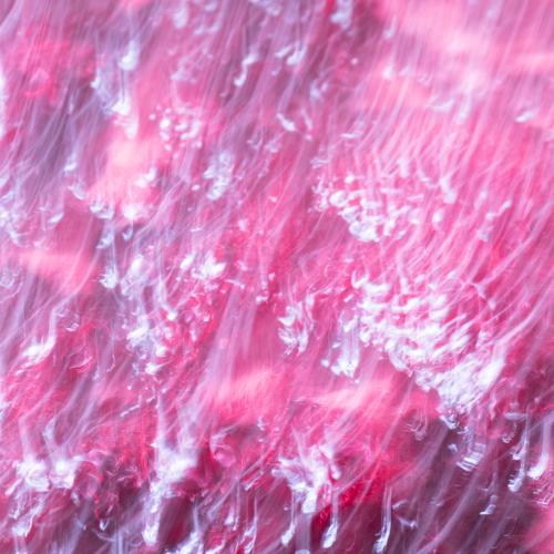 Fluorescence