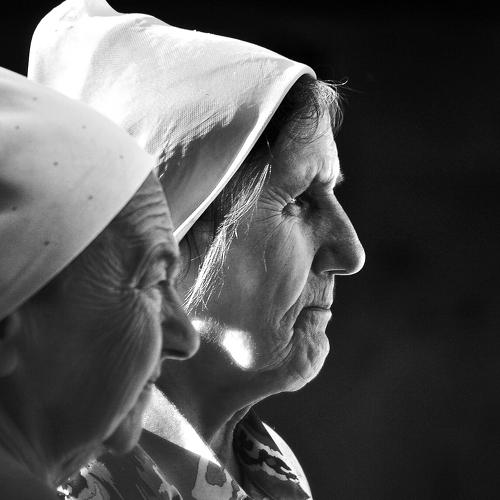 Photo #5416918