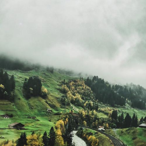 Photo #5417031