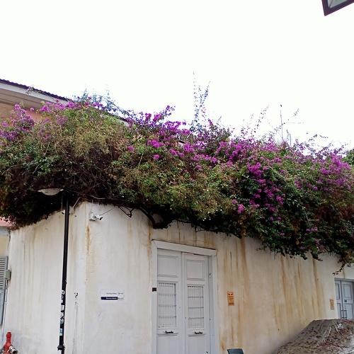 Photo #5417178