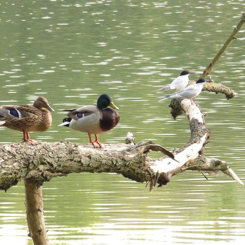 Photo #5417463