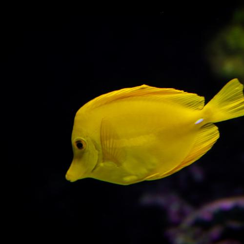 Photo #5418317