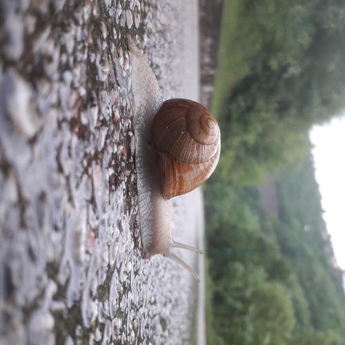 Photo #5419119