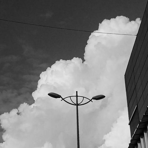 Photo #5419223