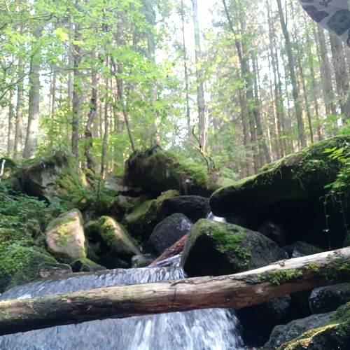 Photo #5419346