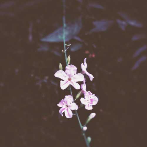 Photo #5419723