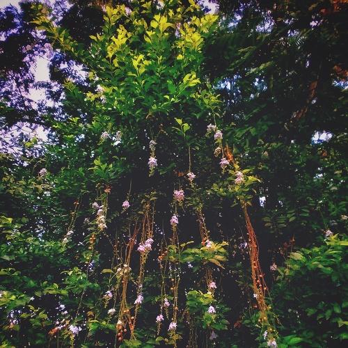 Photo #5419759