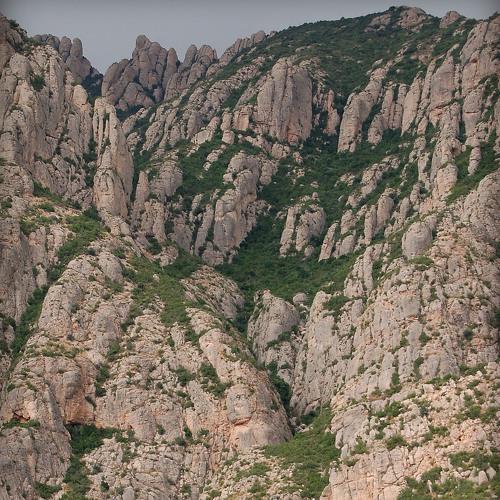 Photo #5420408