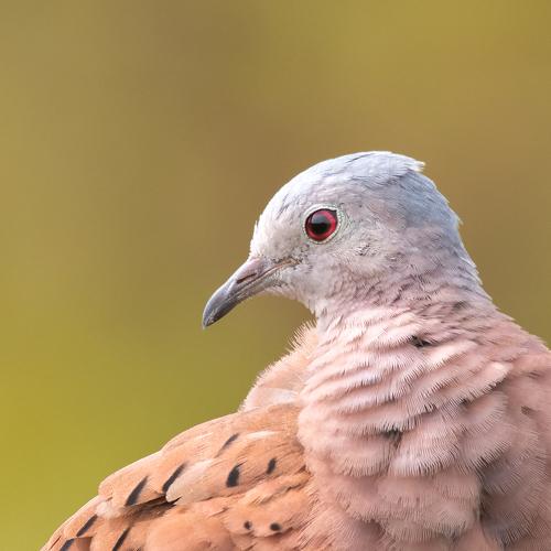 Photo #5420563