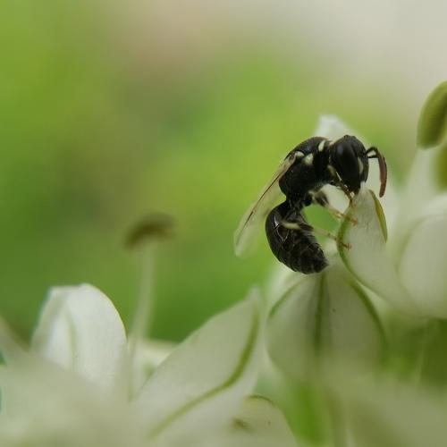 Photo #5420823