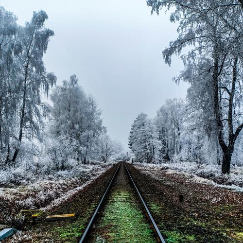 Photo #5421241