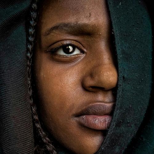 Photo #5421456