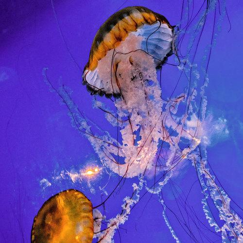 Photo #5421574
