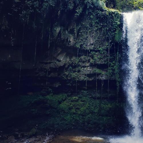 Photo #5421579