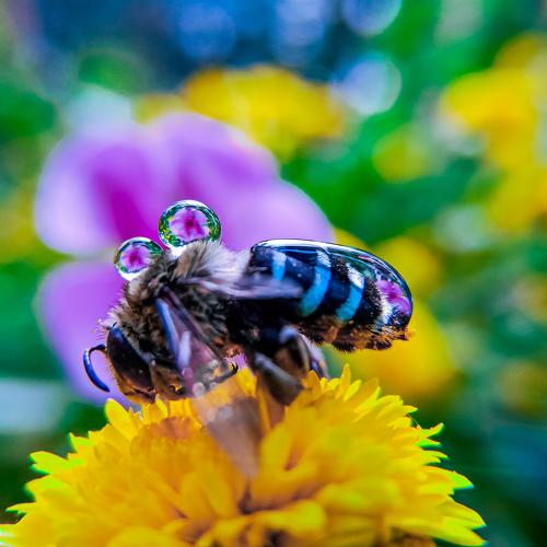 Photo #5421585
