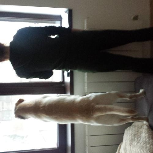 Photo #5421878