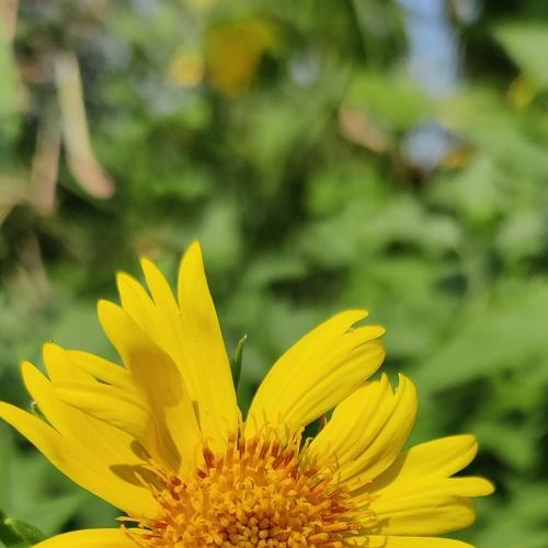 Photo #5422027