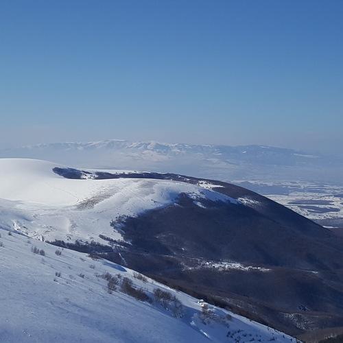 Photo #5422262