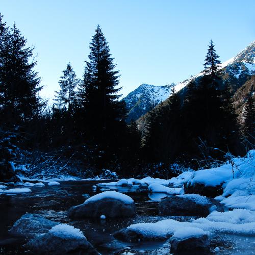 Photo #5422586