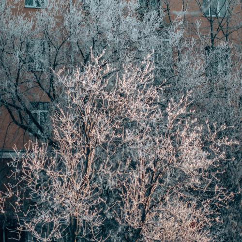 Photo #5422614
