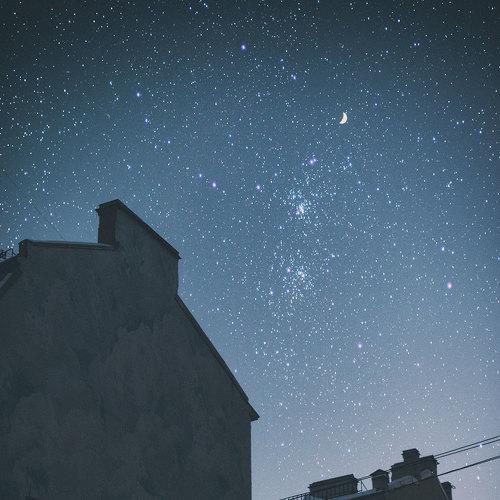 Photo #5422637