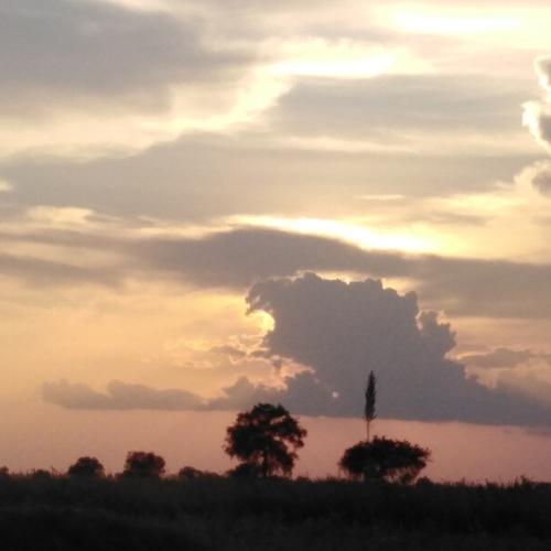 Photo #5422639
