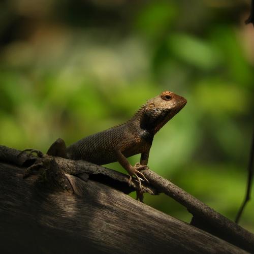 Photo #5422661
