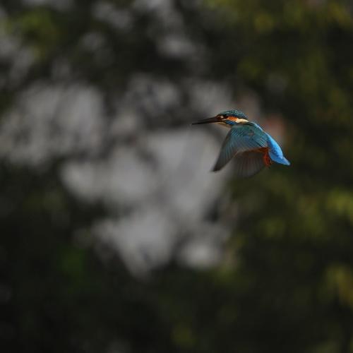 Photo #5422673