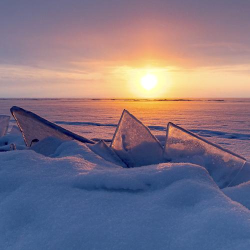 Photo #5422692