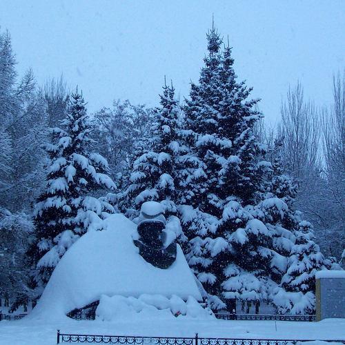 Photo #5422758