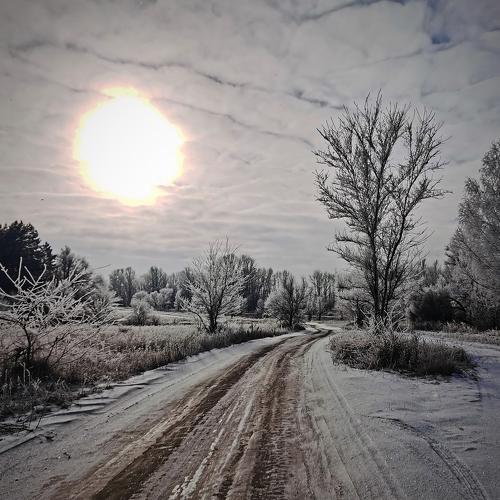 Photo #5422833